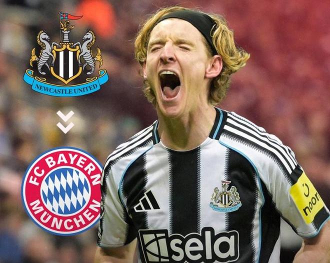 德天空：戈登是拜仁左边锋引援头号目标，转会费至少6000万欧