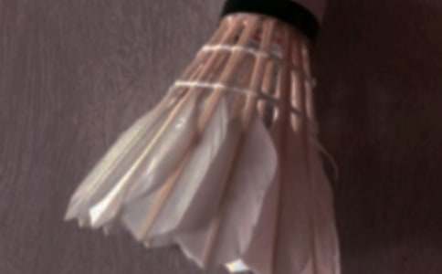 上海玄鸟VS香港金牛分析推荐上海玄鸟3比1淘汰合肥狂风！处子赛季杀入NBL总决赛，能否挑战三连霸金牛？